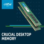Crucial 8GB Single DDR3L 1600 MT/s (PC3-12800) DR x8 RDIMM 240-Pin Server Memory CT8G3ERSLD8160B